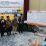 Hasil Pleno KPU Riau Syamsuar – Edy Nasution Menang 38,20 Persen