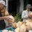 Harga Kelapa Anjlok, Ekonomi 2 Kecamatan di Riau Ini Terhimpit